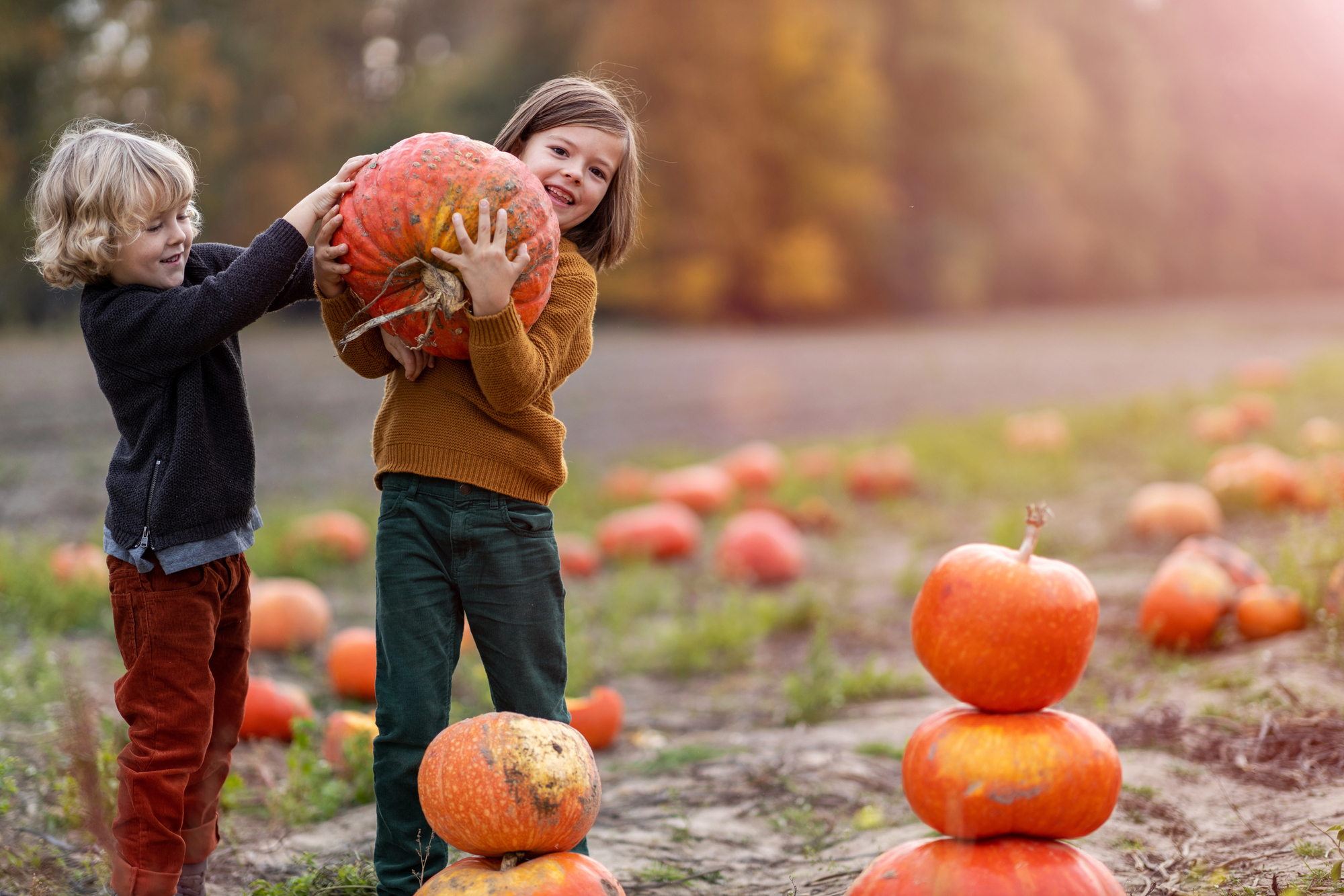 It’s Fall, Y’all: An Invitation to Slow Down